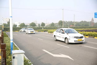 驾培行业现状与未来展望 机动车驾驶员培训发展分析