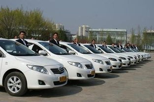 聚焦安全与规范 解读《机动车驾驶员培训管理规定》征求意见稿