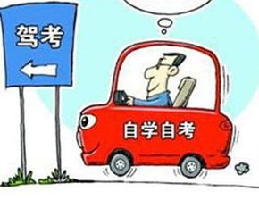驾照自学直考试点落地，宁波等16城引领驾培改革新风向